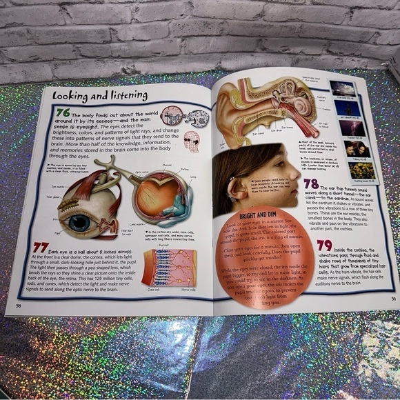 100 Facts HUMAN BODY Book Projects Quizzes Facts Cartoons Miles Kelly Publishing - Picture 9 of 10